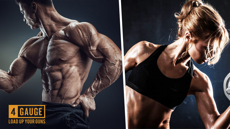 4 gauge pre workout bodybuilding supplements for men and women
