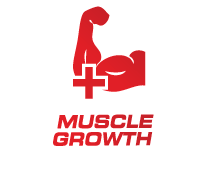 muscle growth supplements