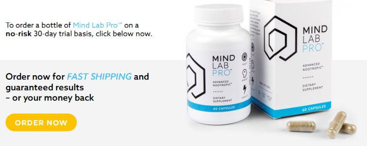 Buy Mind Lab Pro from official website