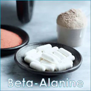 Beta Alanine powder