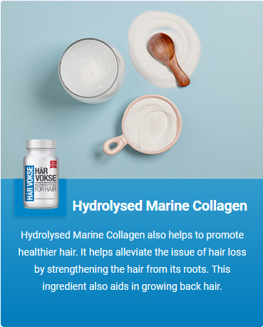 Hydrolyzed Marine Collagen
